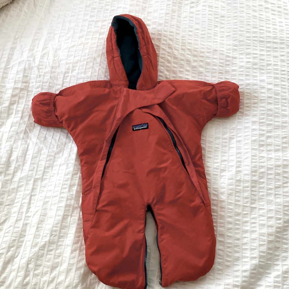 COPY - Retro Patagonia Bunting